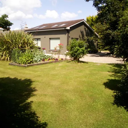 Spacious Contemporary Type Apartment. Daire