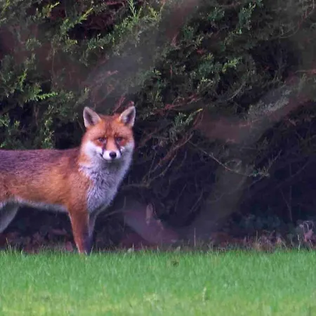 شقة Spacious Contemporary Type Apartment. *