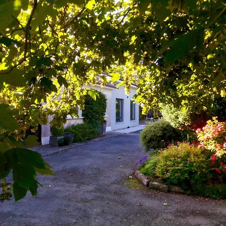 Daire Spacious Contemporary Type Apartment.