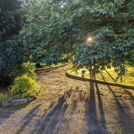 Spacious Contemporary Type Apartment. דירה גלוואיי
