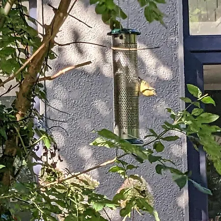 شقة Spacious Contemporary Type Apartment. غالواي