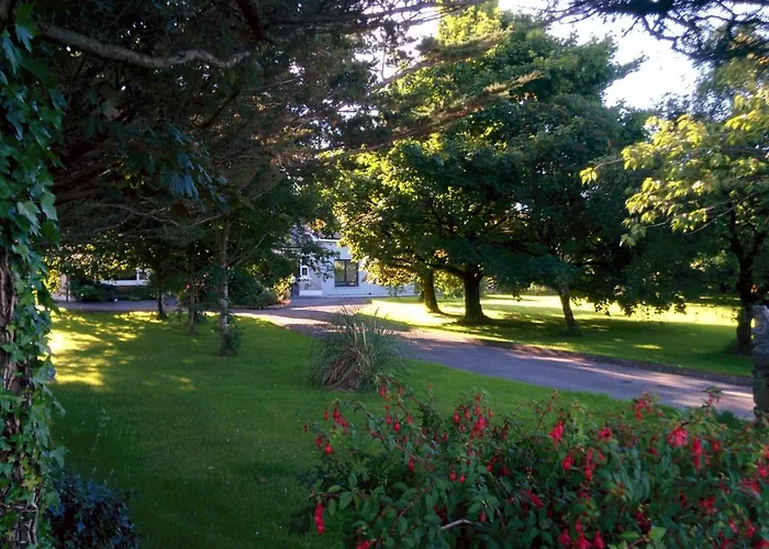 Spacious Contemporary Type Apartment. Appartement