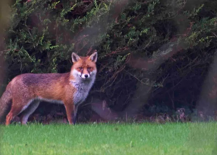 Appartement Spacious Contemporary Type Apartment. *