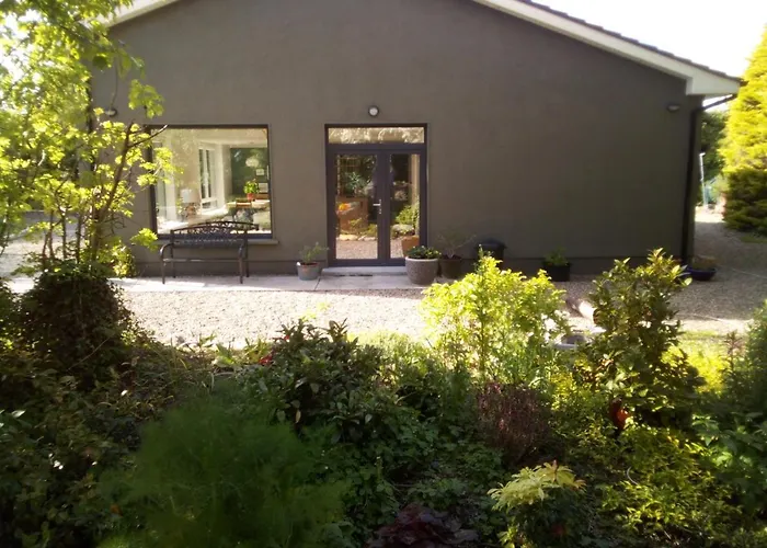 Lägenhet Spacious Contemporary Type Apartment. Galway