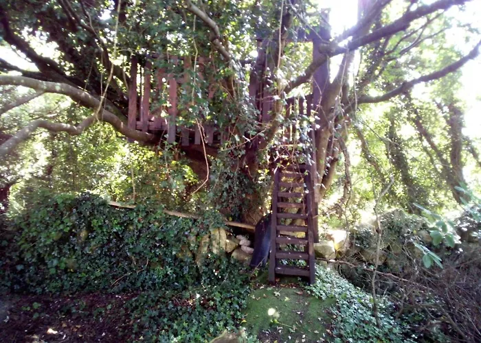 Spacious Contemporary Type Apartment.