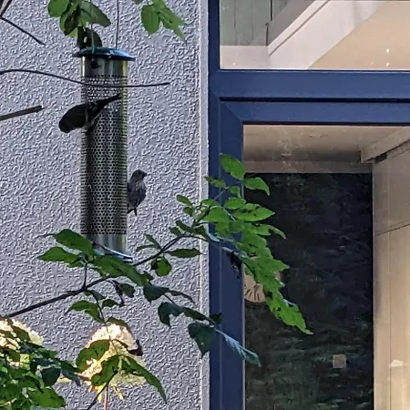 Spacious Contemporary Type Apartment.