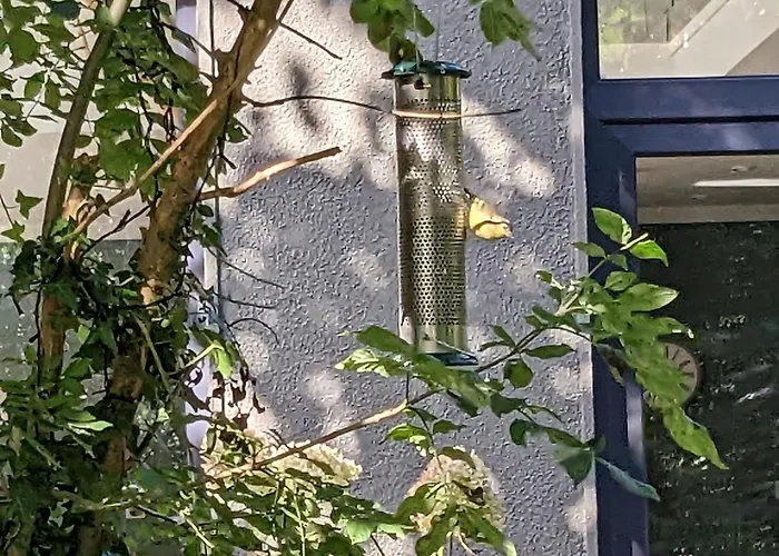 アパート Spacious Contemporary Type Apartment. ゴールウェイ